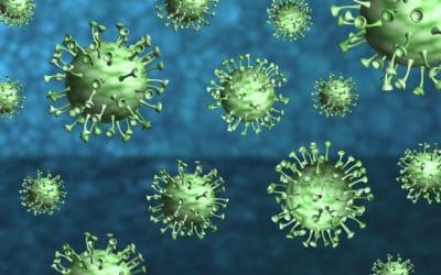 Information multilingue concernant la pandémie du coronavirus