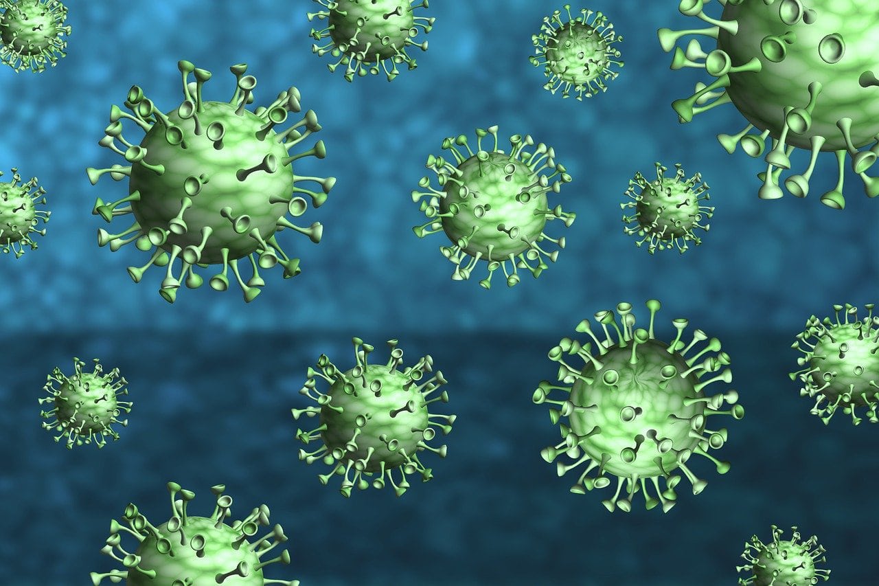 coronavirus